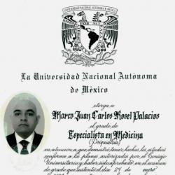 Juan Carlos Rosel-Palacios