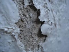 2570376416_7bffc0483a_z