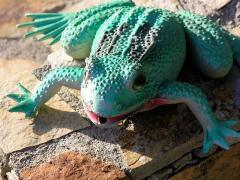 87451796_2b6a1f6ba0_z