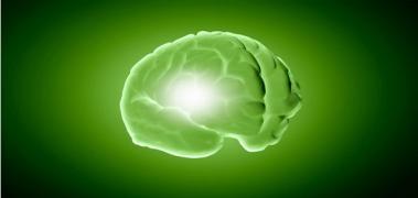 CEREBRO VERDE