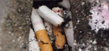 ThThcigarrillos fumar