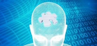 Thcerebro azul conex puzle
