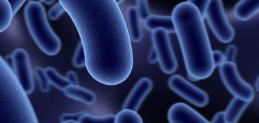 Thmicrobios
