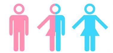 Thtransexualidad