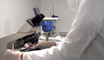 Congreso Virtual Internacional de Psiquiatría, Psicología y Salud Mental (Interpsiquis)