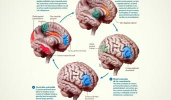 Congreso Virtual Internacional de Psiquiatría, Psicología y Salud Mental (Interpsiquis)