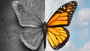 Congreso Virtual Internacional de Psiquiatría, Psicología y Salud Mental (Interpsiquis)