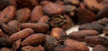 cacao