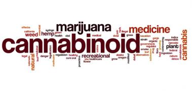 cannabinoide