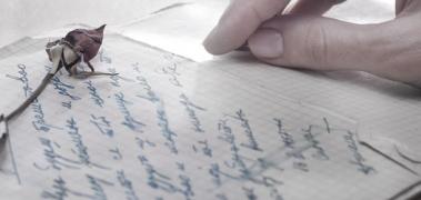 carta amor emociones1