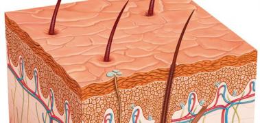 Congreso Virtual Internacional de Psiquiatría, Psicología y Salud Mental (Interpsiquis)