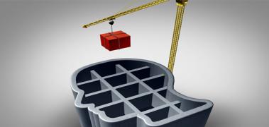 cerebro construcción