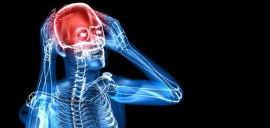 cerebro dolor esqueleto1