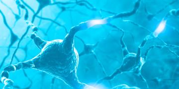 cerebro neuronas psiquiatria 0001