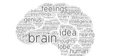 cerebro palabras