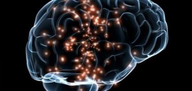 cerebro transparente