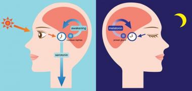 Congreso Virtual Internacional de Psiquiatría, Psicología y Salud Mental (Interpsiquis)