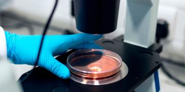 ciencia medicina laboratorio investigacion 0001