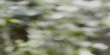 Congreso Virtual Internacional de Psiquiatría, Psicología y Salud Mental (Interpsiquis)