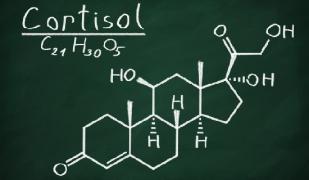cortisol1