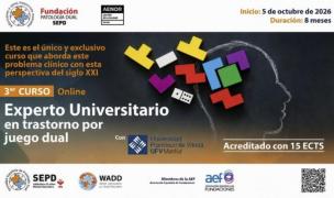 curso experto sepd