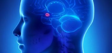 defomaciones morfologia ami