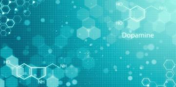 dopamina3