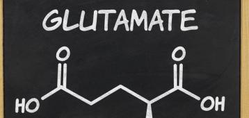 glutamato