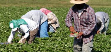 Congreso Virtual Internacional de Psiquiatría, Psicología y Salud Mental (Interpsiquis)