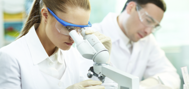lab micros analisis