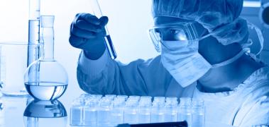 lab