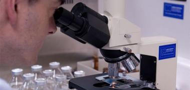 laboratorio21