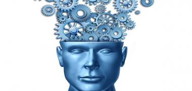 mecanismo cerebro
