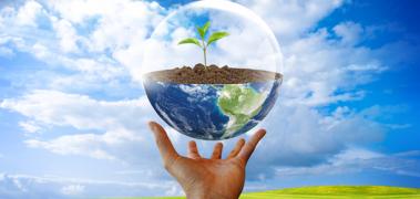 medio ambiente1