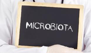 microbiota