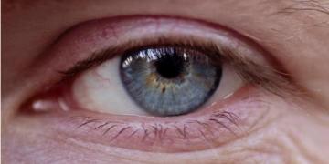 Congreso Virtual Internacional de Psiquiatría, Psicología y Salud Mental (Interpsiquis)