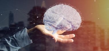 neurofisiología