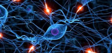neuronas3