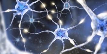 neuronas5