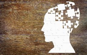 Congreso Virtual Internacional de Psiquiatría, Psicología y Salud Mental (Interpsiquis)