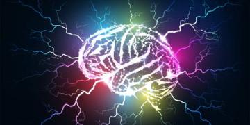 plasticidad cerebral