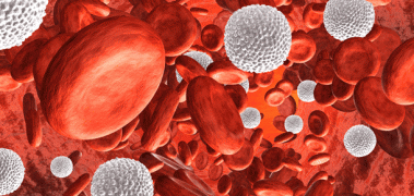 sangre rojos blancos