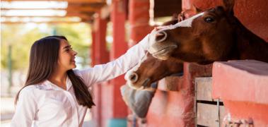terapia caballos