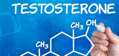 testosterona