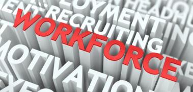 workforce