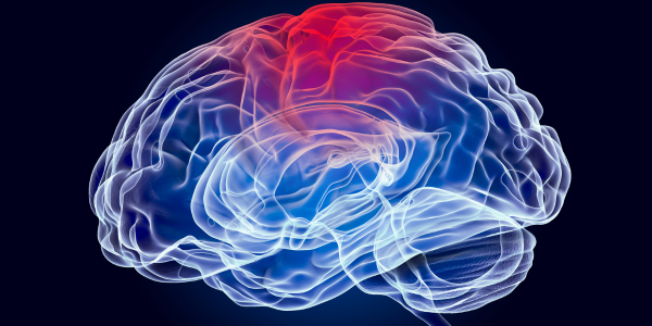 The Virtual Brain