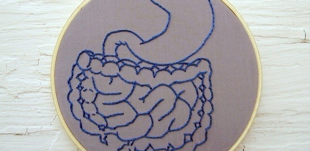 El papel del eje microbiota intestinal-cerebro en la fisiopatología del TDAH