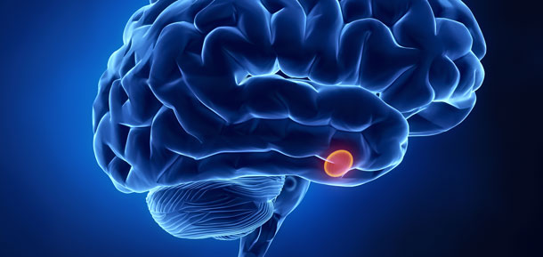 Volumen agrandado de la glándula pituitaria: un posible estado más que un rasgo marcador de los trastornos psicóticos