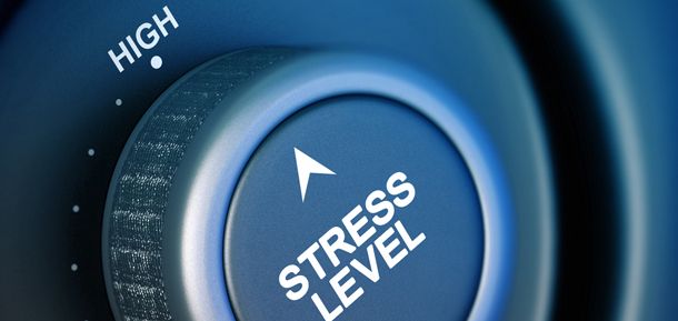 Lewis Halsey: `Resulta clave conocer cómo responde el cuerpo al estrés que produce el calor´