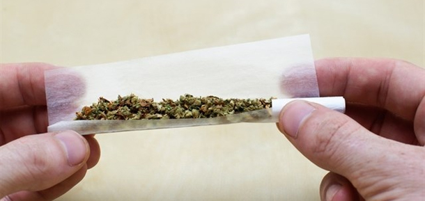 Más de 22 millones de adultos europeos que declaran ser consumidores de cannabis